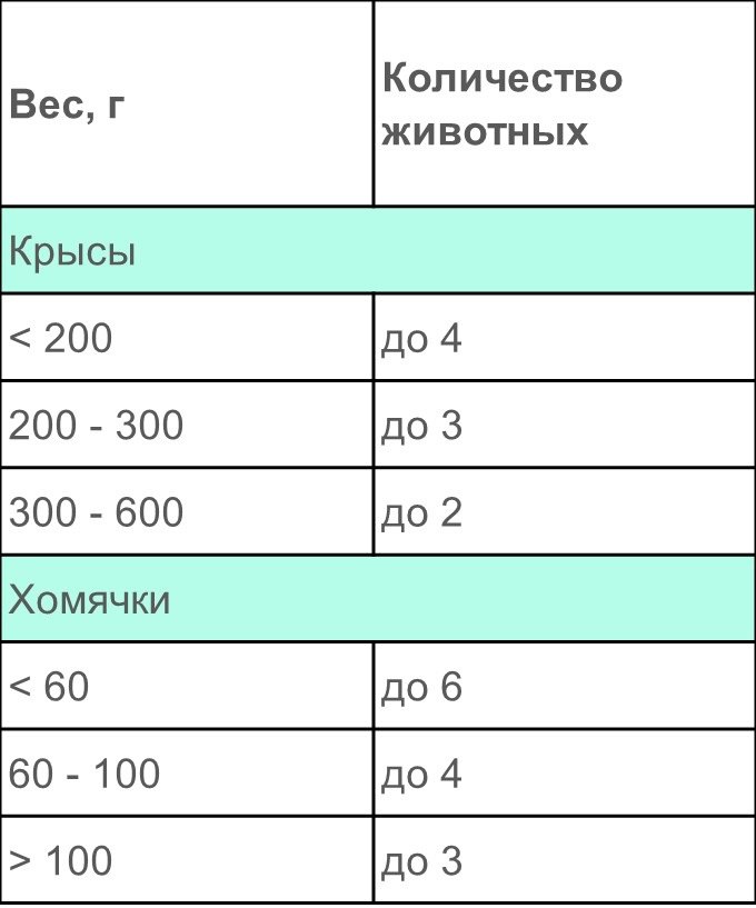 Слайд 1.jpg